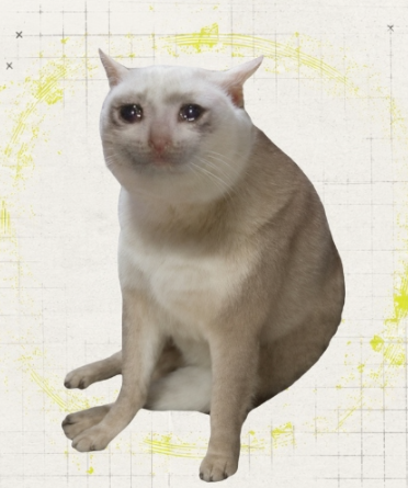 Cointelegraph's tweet photo. π¨ LATEST: A trader who sold 20 million CASHCAT tokens for a 10x profit of $711 missed out on a potential $2.7 million payday as the memecoin later surged. https://t.co/aBg4eZoewQ