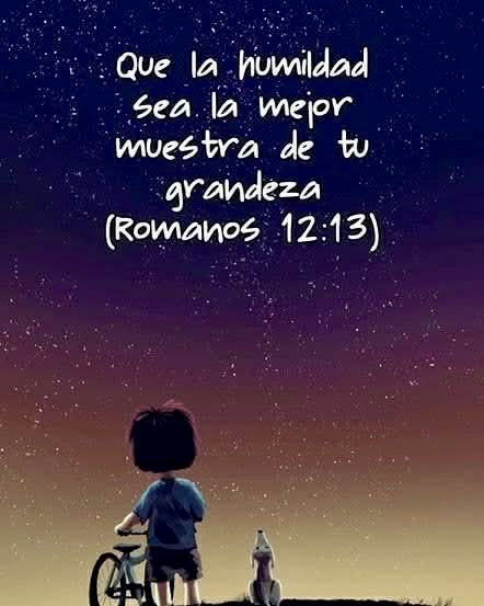PFranciscoUNIVA's tweet photo. #10DeJulio El respeto a los demás, no es un estado de ánimo ni depende de si los demás piensan como nosotros; es una decisión constante y consciente de reconocer el valor de cada persona. @EgresadosUNIVA #OraciónMatutina 👇 https://t.co/1WCGg9KZdp