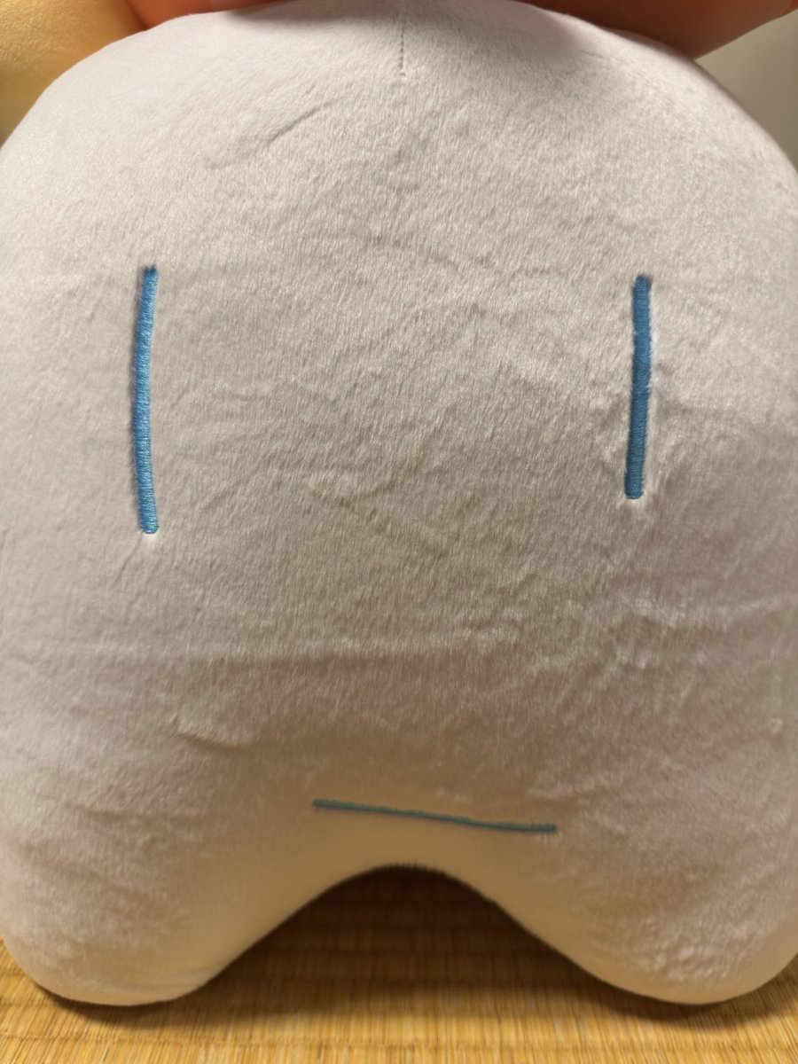 yoi_viv's tweet photo. 次のAdoのLIVEまでに細マッチョ目指します💪💙 https://t.co/PYW8IwD3Dy