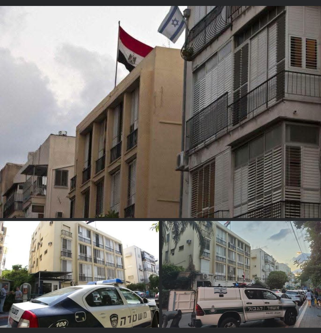 Charyf0279's tweet photo. بعض ممن يحسبون على الشعب المصري أصبحو ينعتو المغاربة و غيرهم بالصهينة يا ناس هاهي أول سفارة للكيان وضعت على أرض الكنانة و تعايشتم مع الوضع رغم تعاقب القيادات و نقول لزعيمكم الأصلع عليه أن يرفع علم فلسطين أمام سفارة الكيان ليس بالملاعب الأمريكية. الي اختشو ماتو https://t.co/Q9aT4gawWd