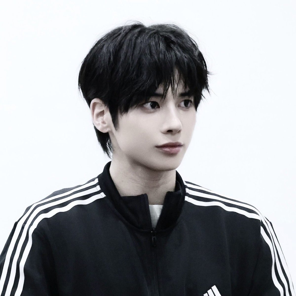 퐁 tweet media