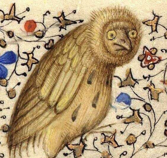 nissnickmich's tweet photo. Búho. Detalle de un manuscrito francés de mediados del siglo XV #arte #humor #buho #edadmedia #curiosidades #10julio https://t.co/ef56qRLyG8