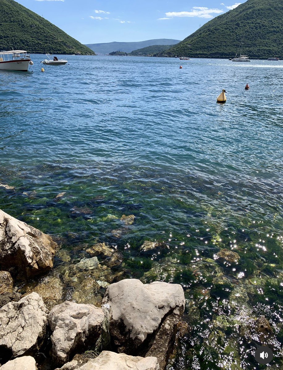 gerardodeleonb's tweet photo. Buenos ☀️🌎: Esa rabiosa necesidad que tenemos de navegar con mar en calma, es la que impide el destino https://t.co/CiOFS7V5yL