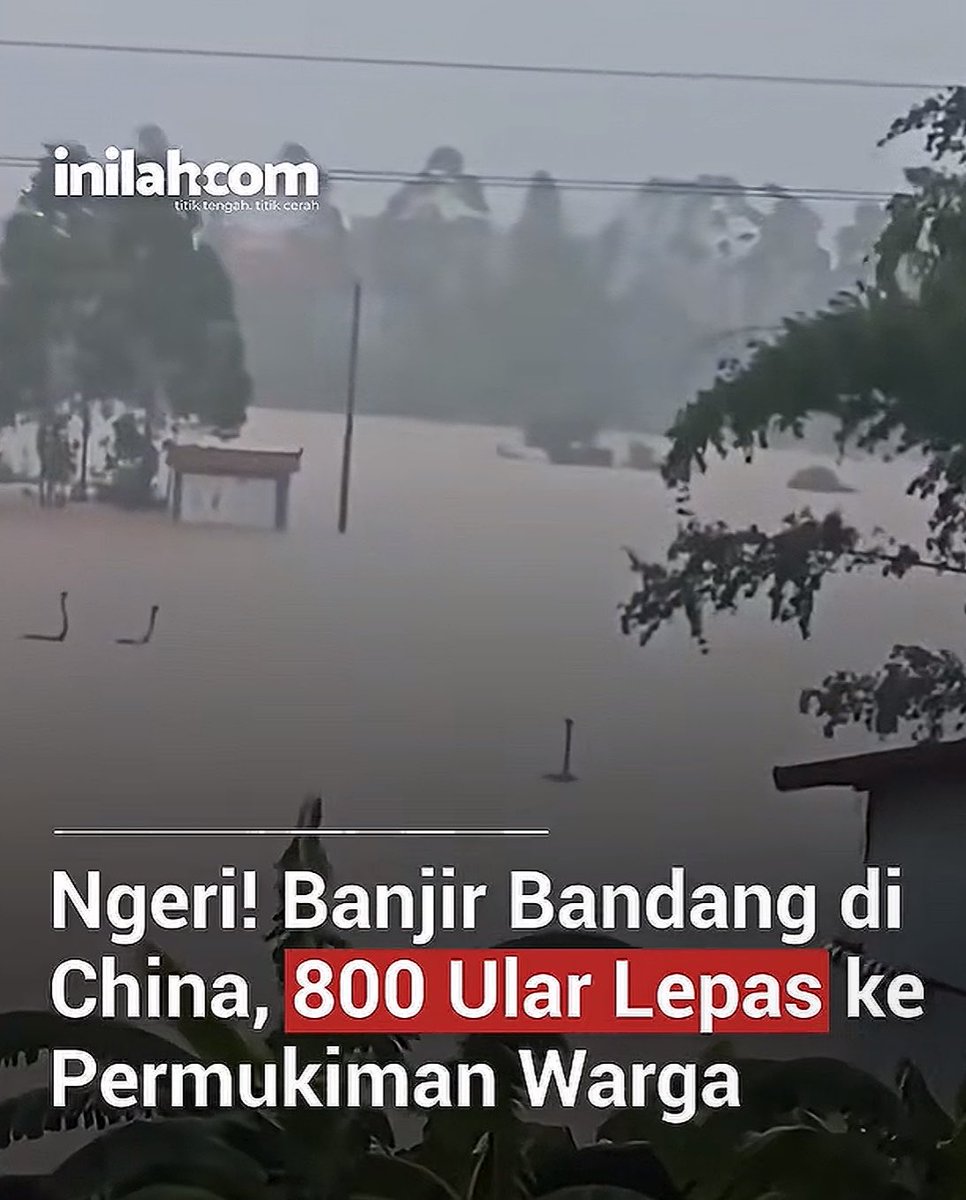 sclouddddd's tweet photo. 🐍💦 800 Ular Lepas Massal gara-gara banjir bandang di China!!

Gak kebayang deh ngerinya 😭 Ya Tuhan tolong jauhkan hamba dari musibah ini. https://t.co/ne0keuUyBB