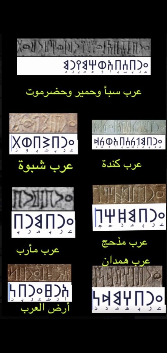 Adnan641739's tweet photo. @rwyl497331 اي اي https://t.co/Mqj045NEdz