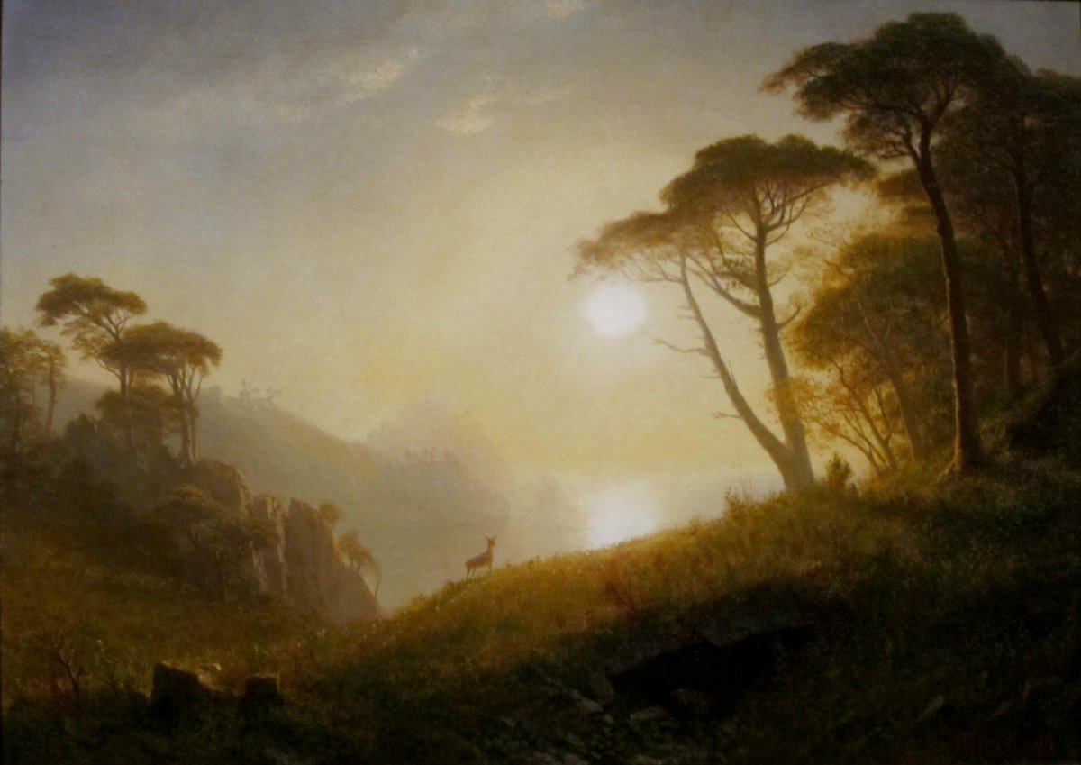 Tcolegoat's tweet photo. "Scene in Yosemite Valley" - Albert Bierstadt (1864) https://t.co/5yX62nTMpJ