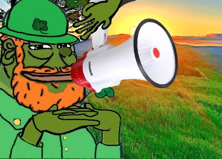Irish☘️ tweet media
