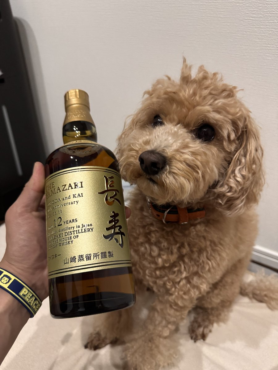 pookieskuroda's tweet photo. カイ&amp;クロダ20周年記念でいただいたやつ。
もったいなくて飲めない飲みたい飲みたい飲めない飲みたい飲みたい飲みたい飲みたい飲みたい… https://t.co/J1WK42hM5e
