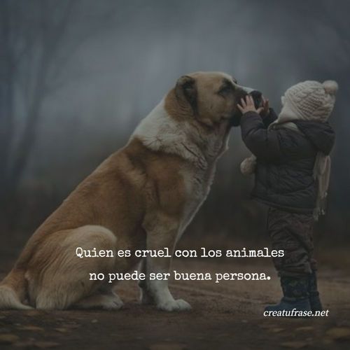 rey_latino33087's tweet photo. https://t.co/FcSP24SnBR