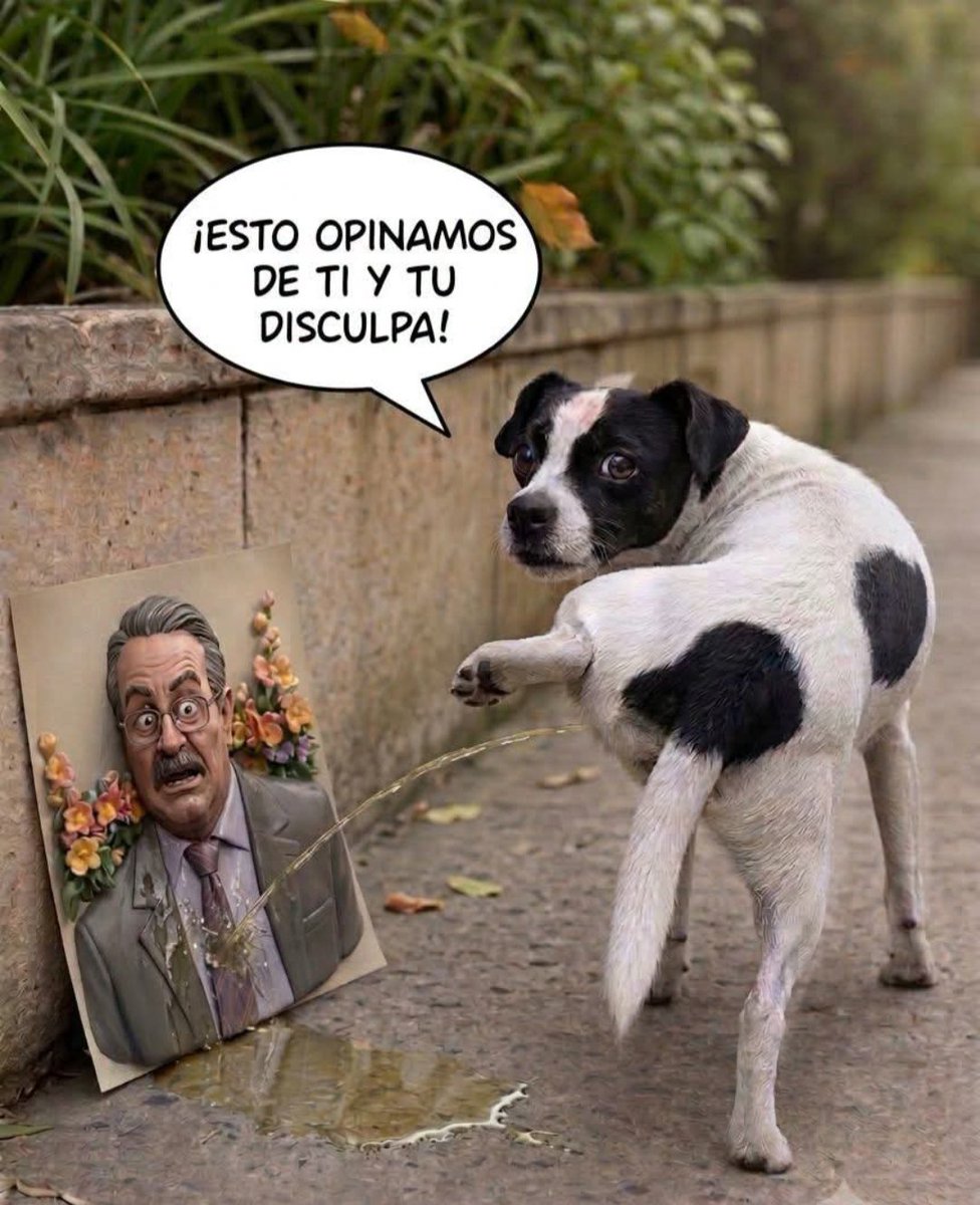 Manuel Olguín tweet media