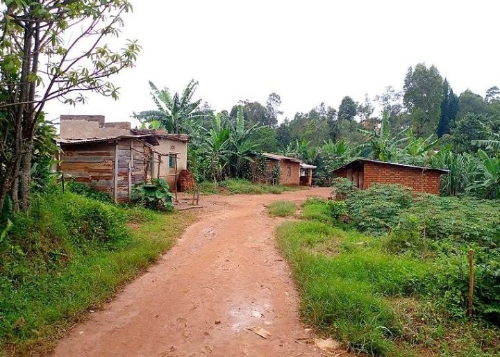 MagazineJimbere's tweet photo. 🚨 Deux personnes sont détenues et deux autres sont recherchées par la police après le meurtre, le 4 juillet 2026, d'un vieillard de la colline #Gitanga, en zone #Muramba, commune #Bubanza (@Bujaprov2025), accusé de sorcellerie. Selon l'administration, des conflits fonciers seraient à l'origine de ce meurtre
🔥 À la suite du drame, des proches de la victime ont incendié des maisons et détruit des bananeraies en représailles. L'administrateur communal de Bubanza appelle la population à ne pas se faire justice et à laisser la justice suivre son cours
#Burundi #Jimbere