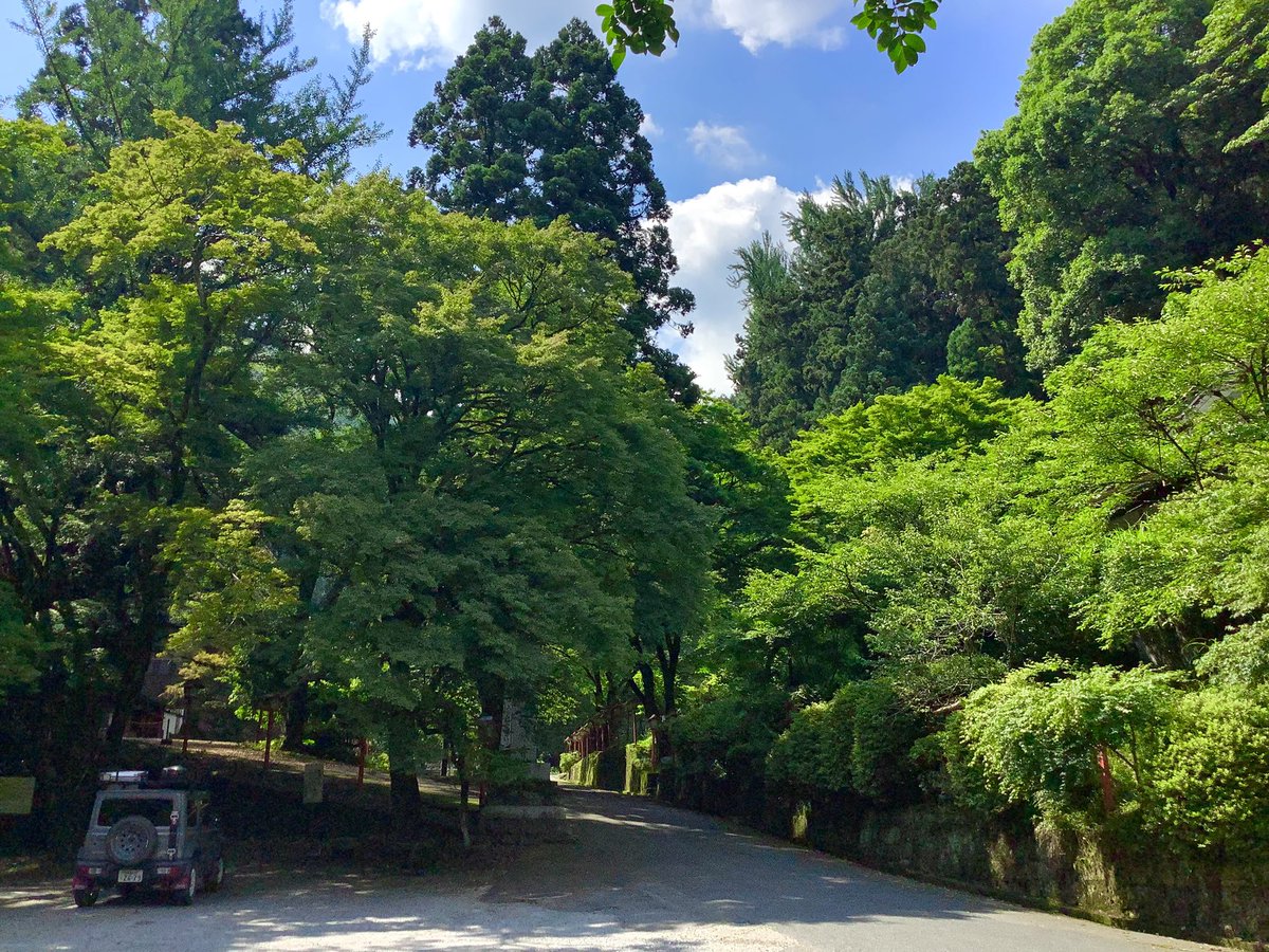 yamatanidadao's tweet photo. 夏だね
青緑白🟦🟢🤍の組み合わせが好き
#ジムニーシエラ
#JB74W
#ふぁみまからー https://t.co/9BRjBY9E03