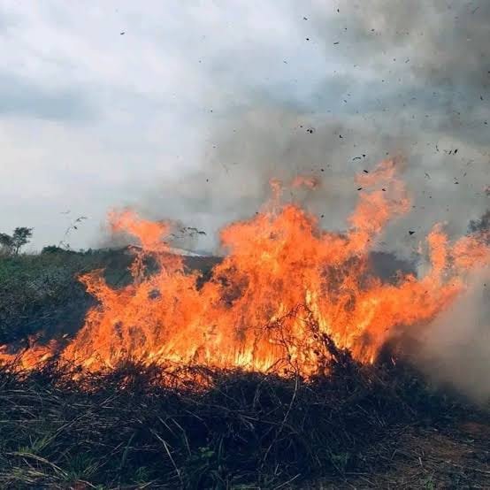 acprdcongo's tweet photo. #RDC : trois (3) enfants mineurs ont perdu la vie dans un feu de brousse au village #Luie, situé à une douzaine de kilomètres de la cité de #Manzasay, dans le territoire de #Bagata, province du #Kwilu, dans le sud-ouest de la République démocratique du Congo (RDC), a appris vendredi l'#ACP de source officielle.
"Trois enfants âgés de moins de 15 ans ont été piégés par un feu de brousse et calcinés par cet incendie incontrôlé, dont les auteurs ne sont pas encore identifiés", a déclaré Junior Mupepe, ministre provincial en charge de l'Environnement du Kwilu.
"Ce drame démontre l'ampleur des risques liés aux feux de brousse auxquels la population est exposée.
Ces pratiques, fréquentes en cette période de la saison sèche, deviennent souvent incontrôlables, entraînant des pertes en vies humaines ainsi que d'importants dégâts environnementaux", a ajouté M. Mupepe.
Découvrez d’autres informations sur notre site web : https://t.co/tGEWJ2Bgzn
