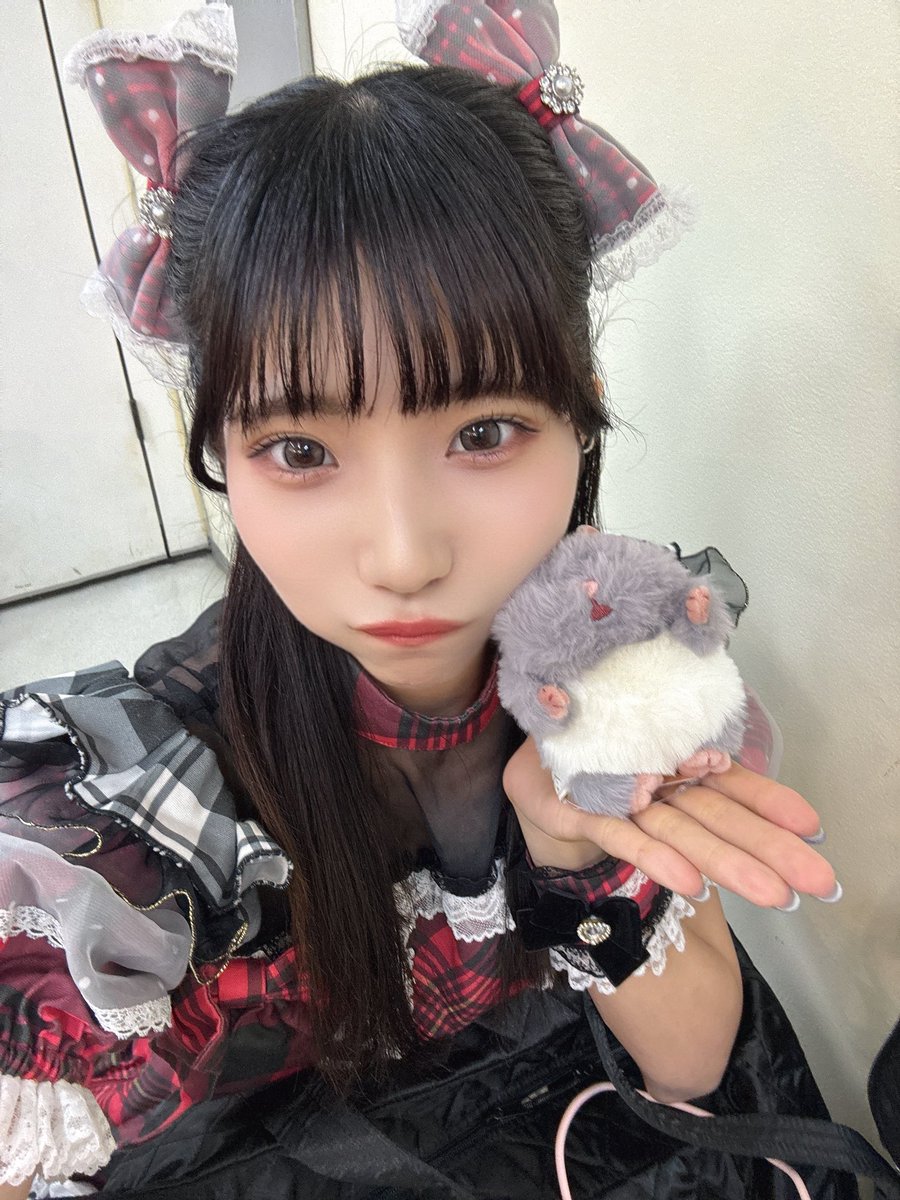 sophia_mayu's tweet photo. GIRLS☆DELIGHT#408
ありがとうございました( *´꒳`* )

はーふちゅいんにしたよぉ！？
どうかしら！！！？！

水色さん見えて嬉しかった🥹🩵
ありがとう！！
また会おうねっ！！！

ソフィアラモード 水色 高梨まゆ https://t.co/6U6y4QbuKU