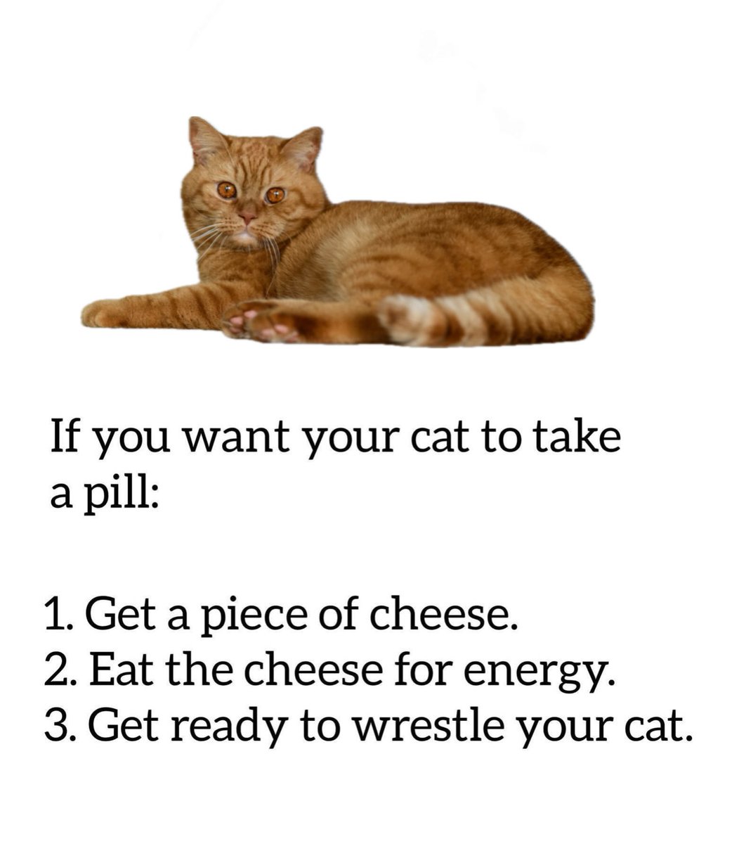 catsareblessing's tweet photo. https://t.co/iMXuNt7lz8