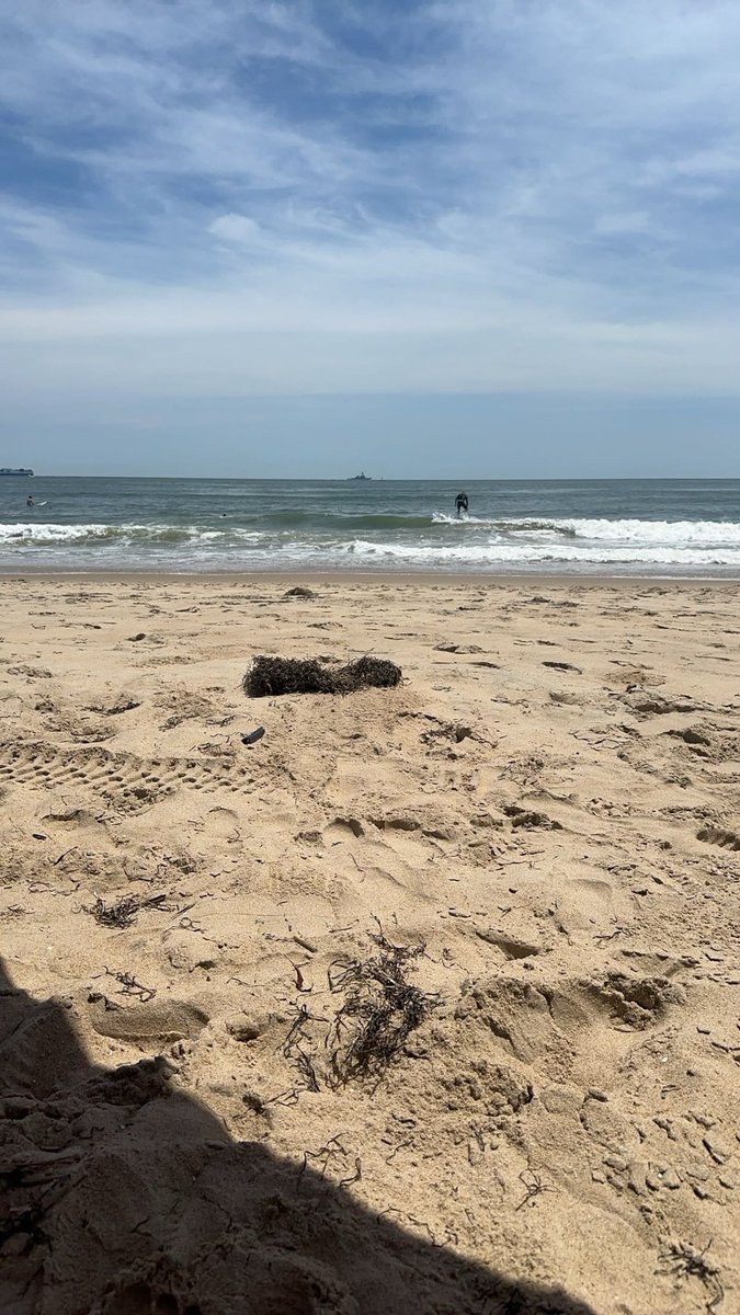 YorrFps's tweet photo. On the beach https://t.co/oHLbNltlyM
