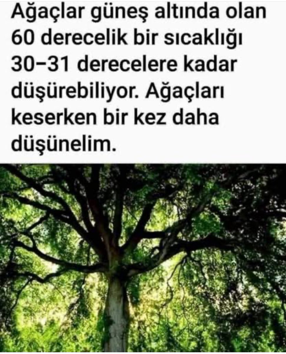 Recepsamuncu1's tweet photo. Sayın yetkililer, şehirlerimizin sokaklarını,caddelerini ,otobüs duraklarını ağaçlandırın.Lütfen,lütfen.Uzun yaz yaşanan bir şehirde herkes evinde klimaların dibinde. https://t.co/AwtiMiDBVr