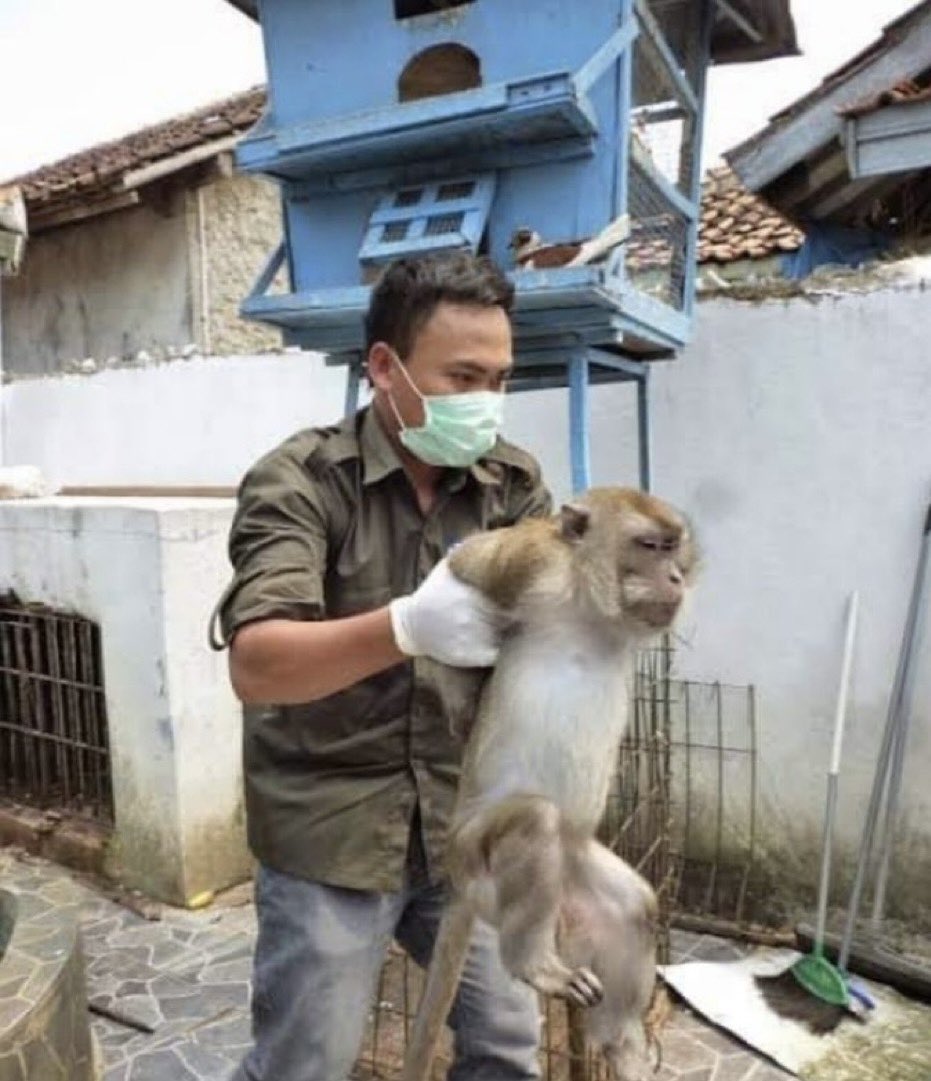 asgemgoby's tweet photo. Tiket jannabi di jakarta hari ini selama 3 jam: https://t.co/XB16NXpVta