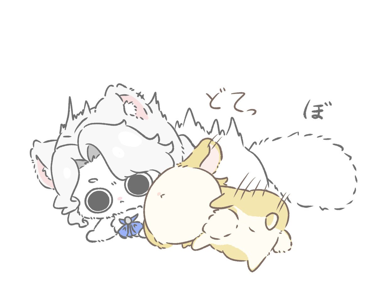3033Orca's tweet photo. 格上🐰🐱 https://t.co/d0gs6OiI4j
