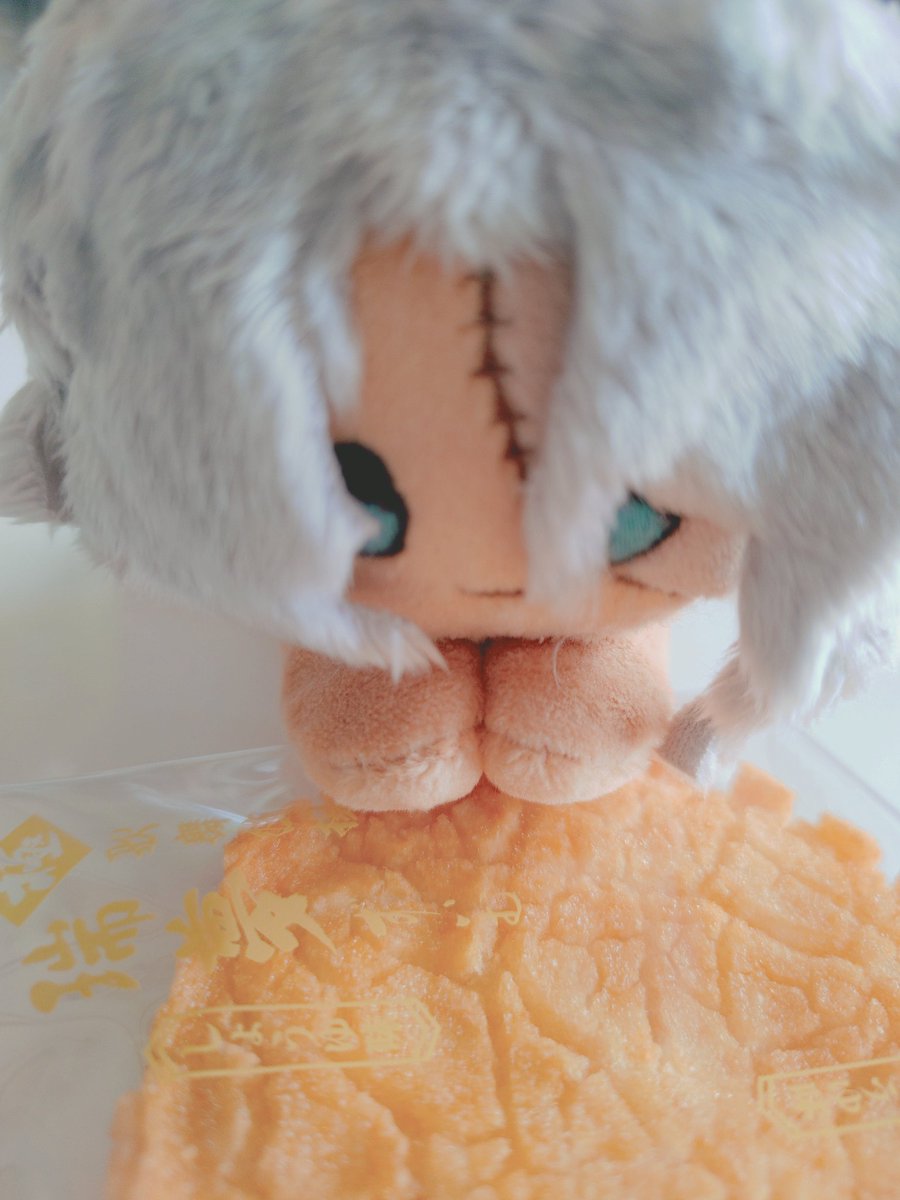 katsuragame's tweet photo. これは以前作ったみやぬい
洗濯バサミ入りなので、物が持てます https://t.co/nzyXOwrymB