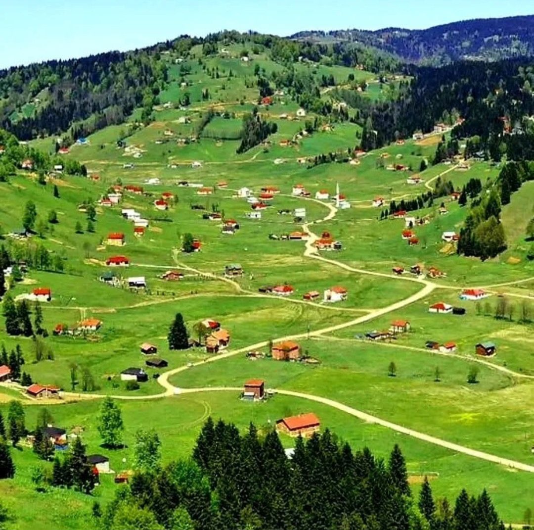 Twltter378186's tweet photo. Trabzon/Tonya/Kadıralak Yaylası… https://t.co/XFksO8HXte
