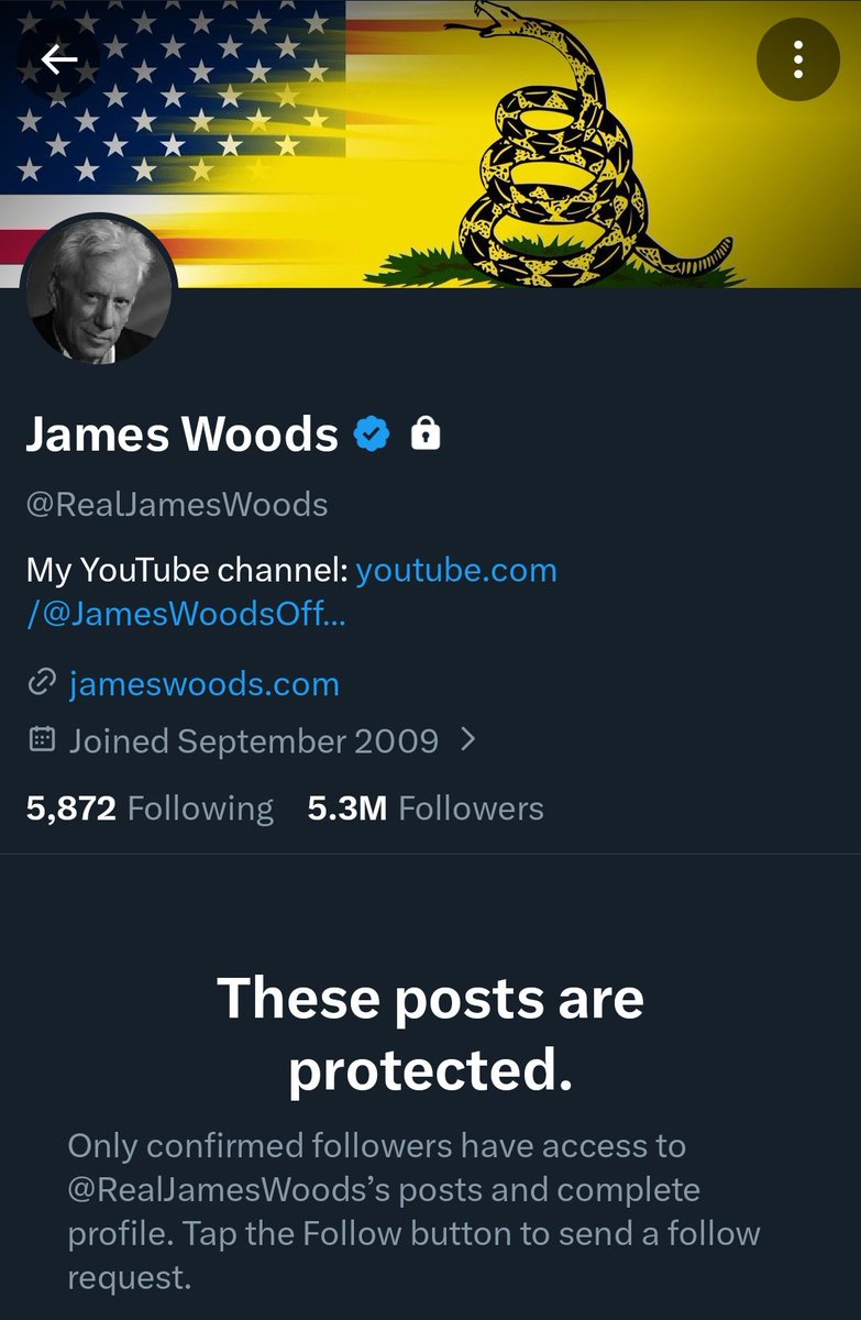 P_Kallioniemi's tweet photo. Yet another MAGA influencer is facing sexual allegations involving a minor.

Former actor James Woods allegedly invited a 16-year-old girl on a private trip to Las Vegas. After she told him she was 16, he allegedly replied: “Even better.”

His tweets are now protected. https://t.co/1uEyly3pby