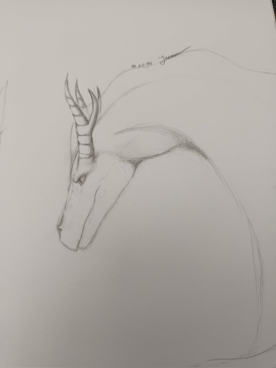 Yuna022023's tweet photo. Touched a pencil today
#art #artist #artistonX #dragon https://t.co/X783b7M2wy