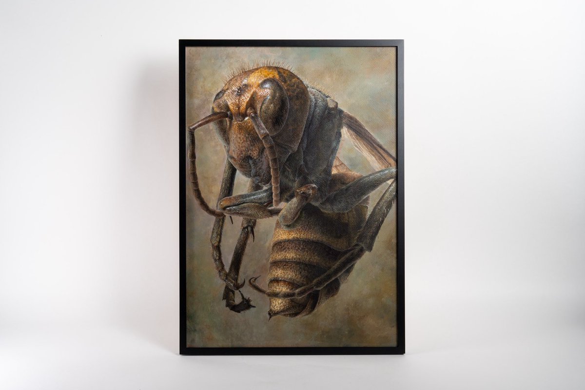 Tatsuki_Sawada's tweet photo. 「remains」
420×594mm アクリル画

本作が「害蟲展」優秀賞を受賞しました。
是非お越し下さい。

【東京会場：MATERIO base】 2026年7月11日(土)〜7月30日(木) 

【大阪会場：箕面公園昆虫館】 2026年9月2日(水)〜9月14日(月) https://t.co/QRoQXIBc6d