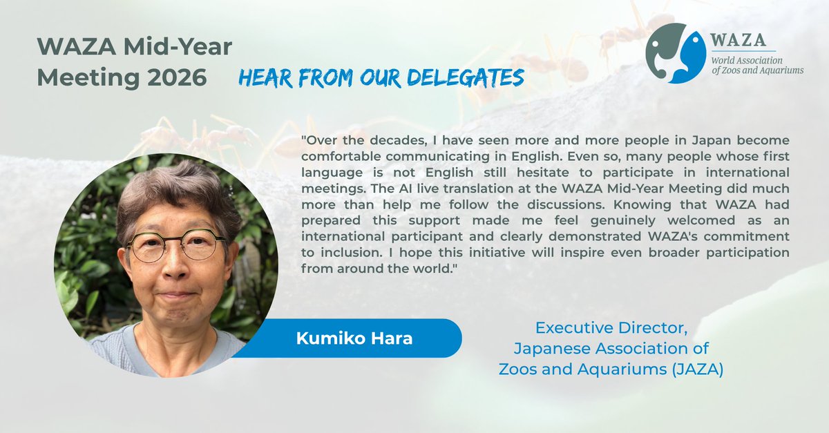 waza's tweet photo. For the first time, WAZA introduced AI-powered live translation at the 2026 Mid-Year Meeting, helping delegates follow sessions in their preferred language and participate more fully in the global conversation. 

💡Revisit the sessions on our event blog.
https://t.co/iW75yNlC87 https://t.co/ik39tPaUOL