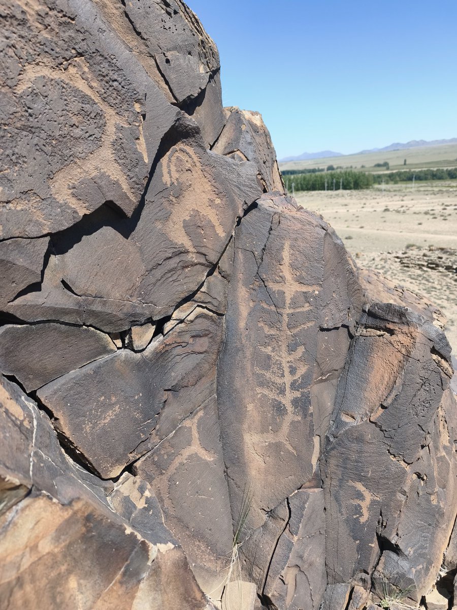 RnaudBertrand's tweet photo. This was definitely an "only in China" afternoon: we managed to get access to a place in Xinjiang that's completely off the beaten path, a remote rocky hill with priceless rock carvings dating back to the stone age.

What's hilarious is that it was all based on a misunderstanding. We got to meet a local here in Wenquan (温泉) - on the border with Kazakhstan - and we asked him about this local attraction we'd heard about, a place where you could find fossils (always fun for kids).

He told us two things. First that we couldn't go there with the RV because, to reach it, you need to go off road through the rough Xinjiang terrain. Second that he could lend us a car and escort us there. And he handed me the keys to a car and told us to follow him.

I found it a bit odd that what I thought was a relatively well-known local kid attraction would be this hard to reach, but I just shrugged it off.

After about a 30 minutes drive through the Xinjiang backcountry, we arrive at the small rocky hill, lost in the middle of nowhere, that you see on the video 👇

We start climbing the hill - naively looking around for seashell imprints - when suddenly our local friend points to a rock and shows us an old carving of a goat.

It took us a little while but we eventually realized the misunderstanding and how lucky we were: we hadn't been taken to a fossil site at all. Somewhere in translation, "fossils" had become "ancient rock carvings," and this unassuming hill in the middle of nowhere turned out to be an extraordinary heritage site covered in petroglyphs dating back thousands of years!

The carvings turned out - for some of them - to still be in extraordinary good conditions, probably due to the extremely dry climate in the area: they mostly depicted local animals such as long-horn goats, stags with extraordinary antlers, leopards or horses.

This experience also says a lot about China. People think this place isn't welcoming to foreigners but tell me in which other country a local would hand a random foreign tourist the keys to his car and personally escort his family to a priceless heritage site that's still in its natural state - only known to locals. Like I said: only in China!

PS: We eventually explained the misunderstanding to our local friend, and he also brought us to the actual fossil place too. So we got two sites for the price of one misunderstanding!