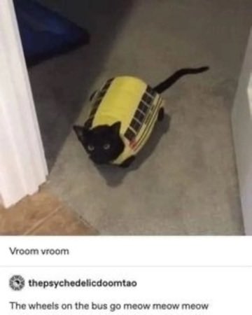 NoCatsNoLife_m's tweet photo. The Catbus really existed. https://t.co/sBvheQCR8y