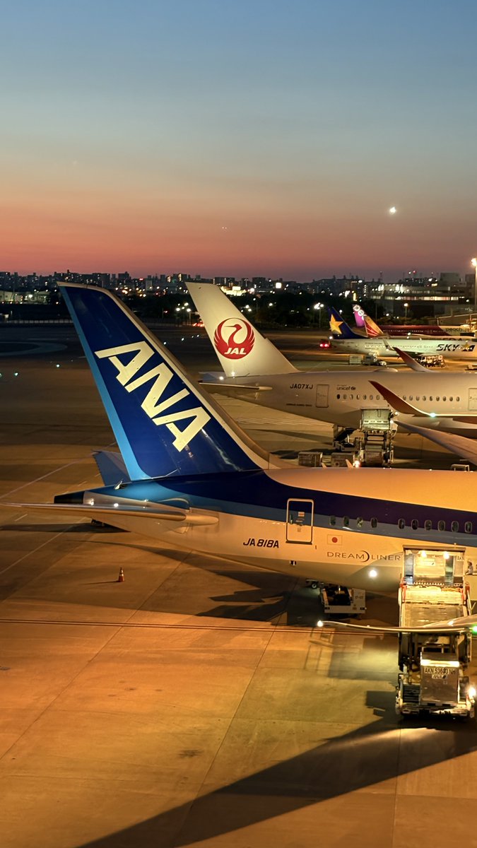 yui_1304's tweet photo. ぱっと見でどこの空港か分かる図 https://t.co/qKjMPU3MM3