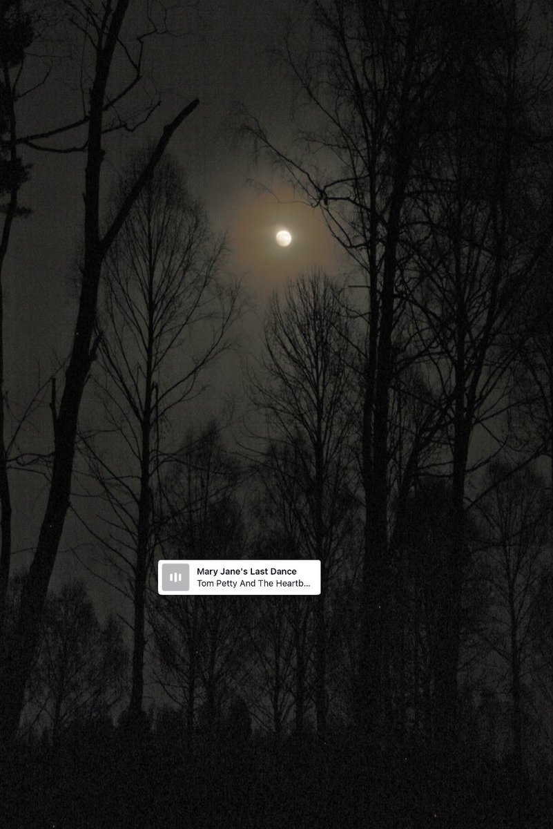 MoMetalx's tweet photo. I spent more nights than I can count beneath a cold moon, wandering where the water swallowed the world and the graveyard waited in the dark.
The stars always felt impossibly close, like they could see every secret I carried but never asked me to explain any of them.
I drank because the silence understood me better than people ever did.
Out there, with the wind moving through the trees and the water keeping its own forgotten stories, I almost believed there was a place where broken things could exist without having to pretend they weren’t broken.