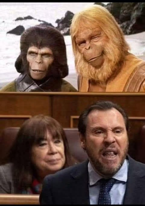 mencar61's tweet photo. SIN COMENTARIOS https://t.co/F9vcuPZX9q
