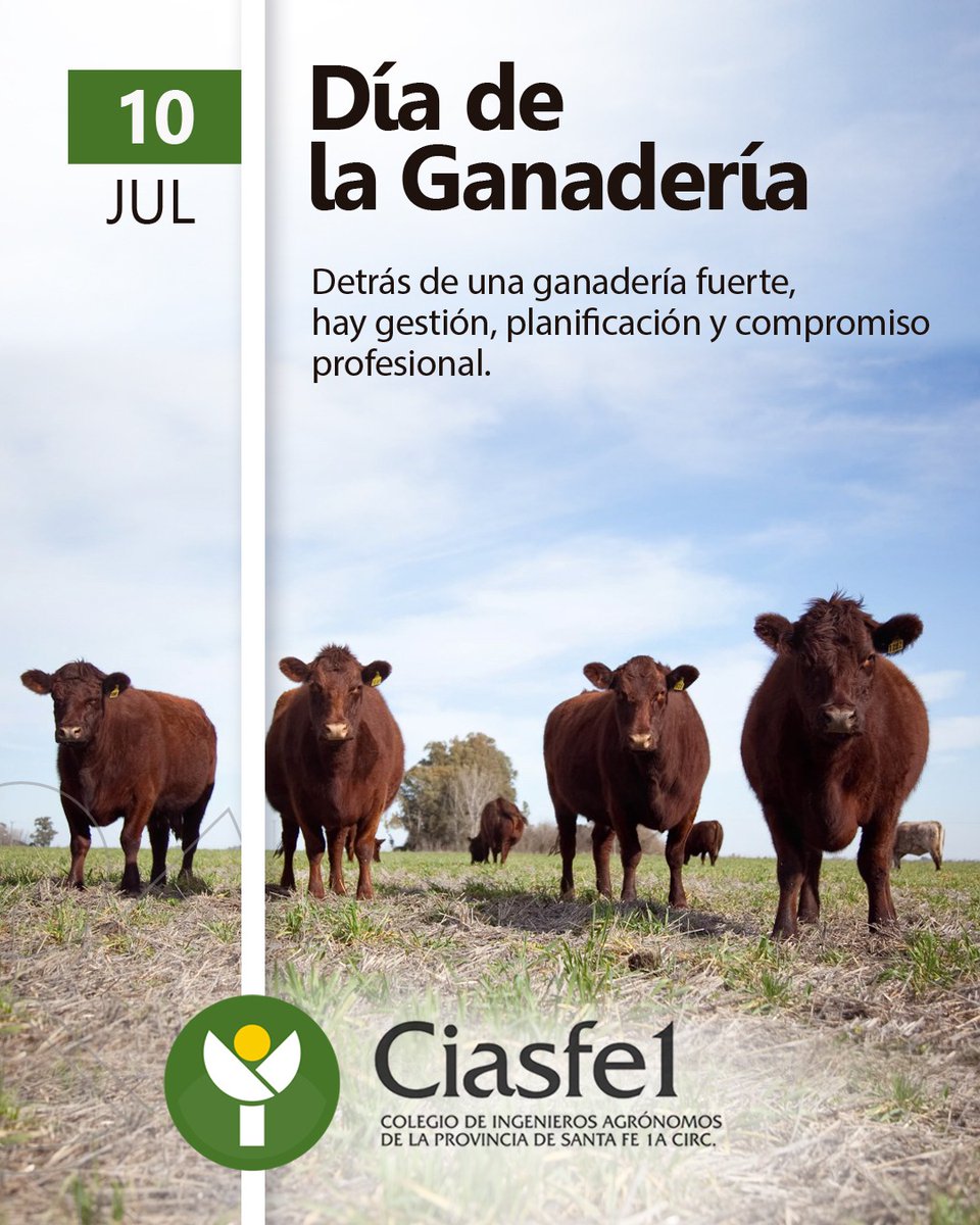 CIASFE_1's tweet photo. https://t.co/CanySYuu5I