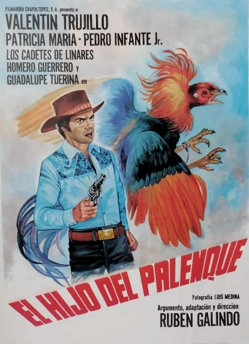 RafaelMateos7's tweet photo. Tiburoneros (1963) Luis Alcoriza // El hijo del palenque (1979) Rubén Galindo #SesionDoble https://t.co/H61esE4i3R