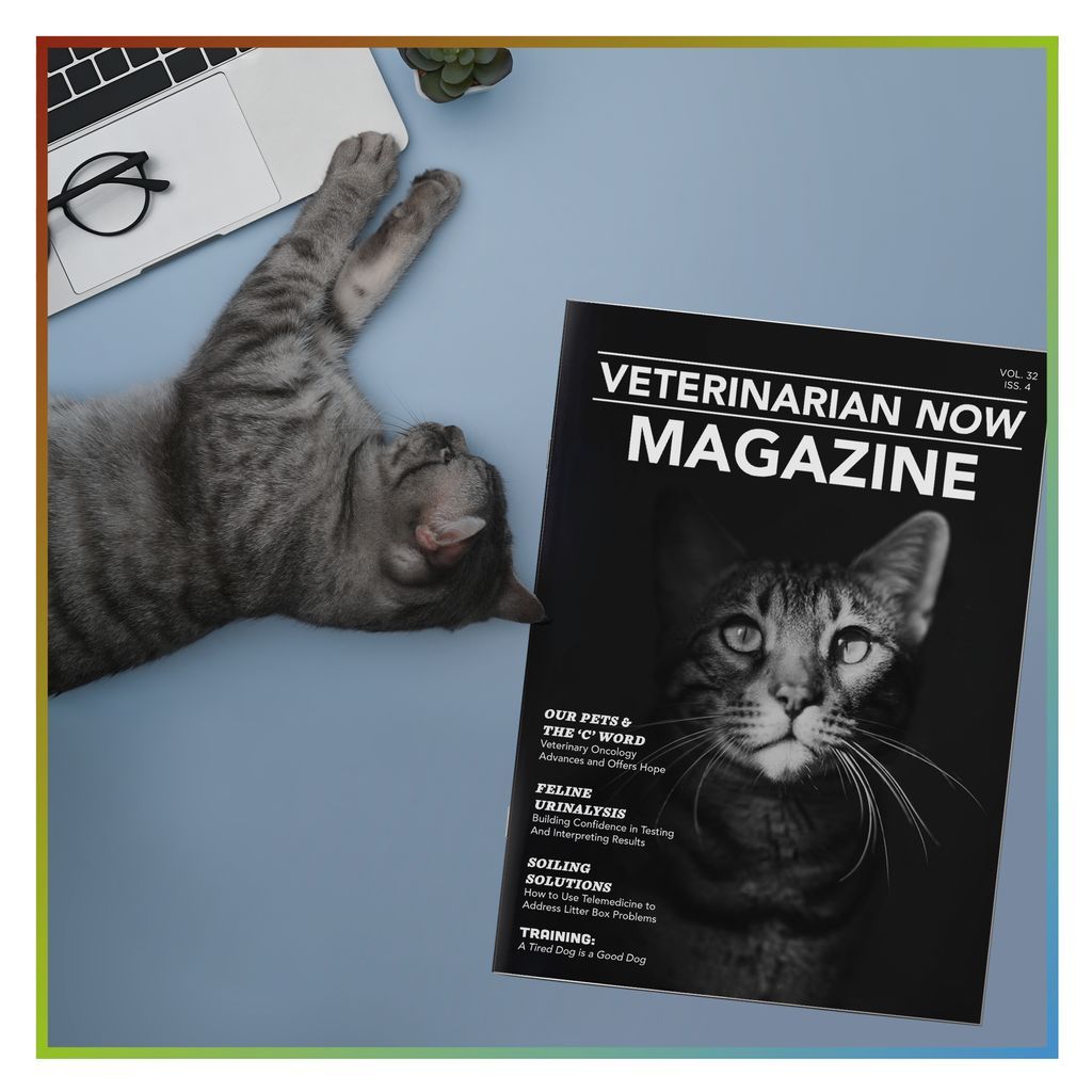 BRDPrinting's tweet photo. We strive for purr-fection in all that we do! Give us a call today to get started on a quote. #offsetprinting #digitalprinting #michiganbusiness #smallbusiness #mailing #printshop https://t.co/m6fZqxtMoZ