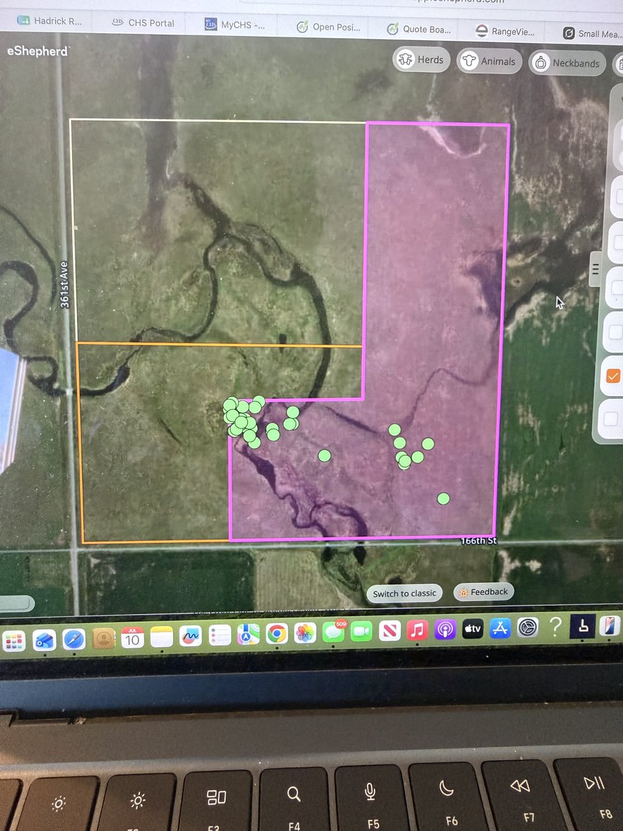 TroyHadrick's tweet photo. Moved cows to some fresh pasture this morning. https://t.co/iFNzrTvF8x