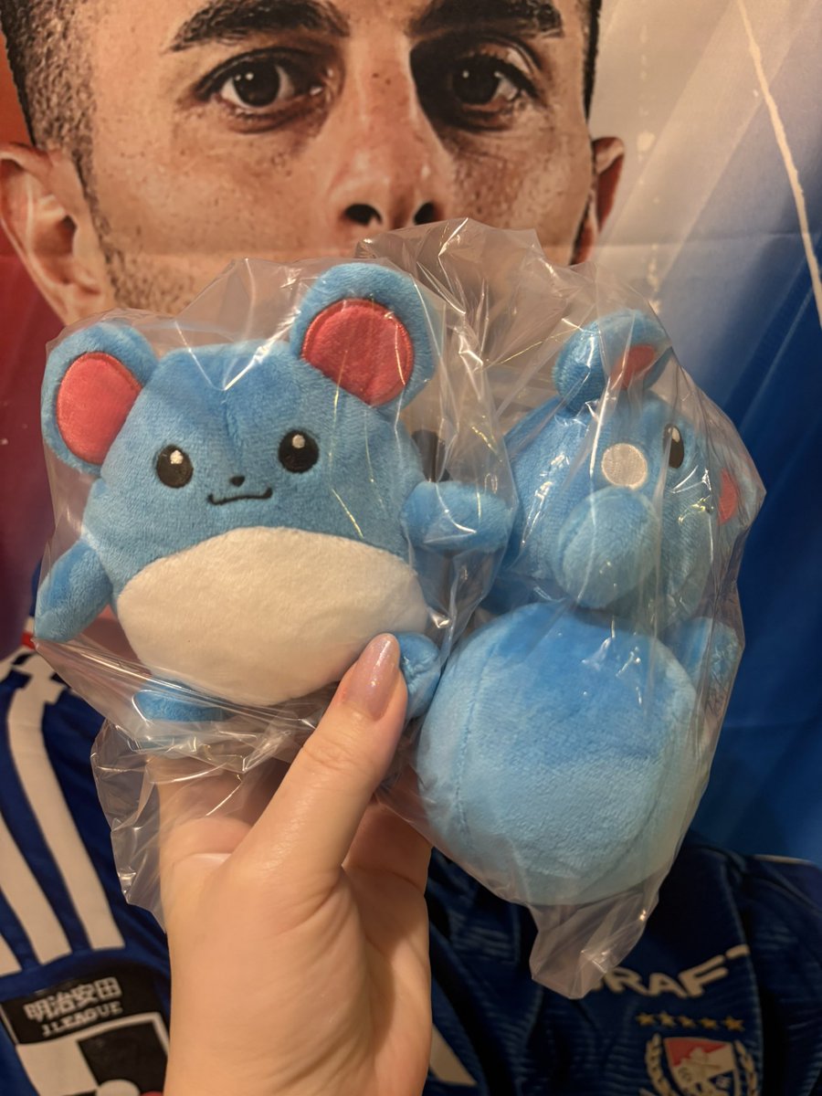 MioSunshine's tweet photo. 今日は帰宅後もポケモンデーでした

ようこそ、マリルリちゃん、マリルちゃん、ルリリちゃん https://t.co/hTuerbYmE5