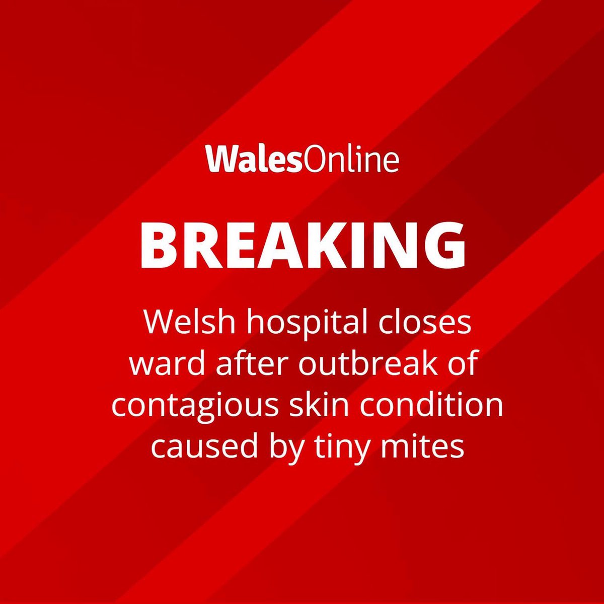 SeneddWaste's tweet photo. The consequence of funding the Anti-Racist Wales Action Plan over our NHS. https://t.co/Qth5pwMO0B