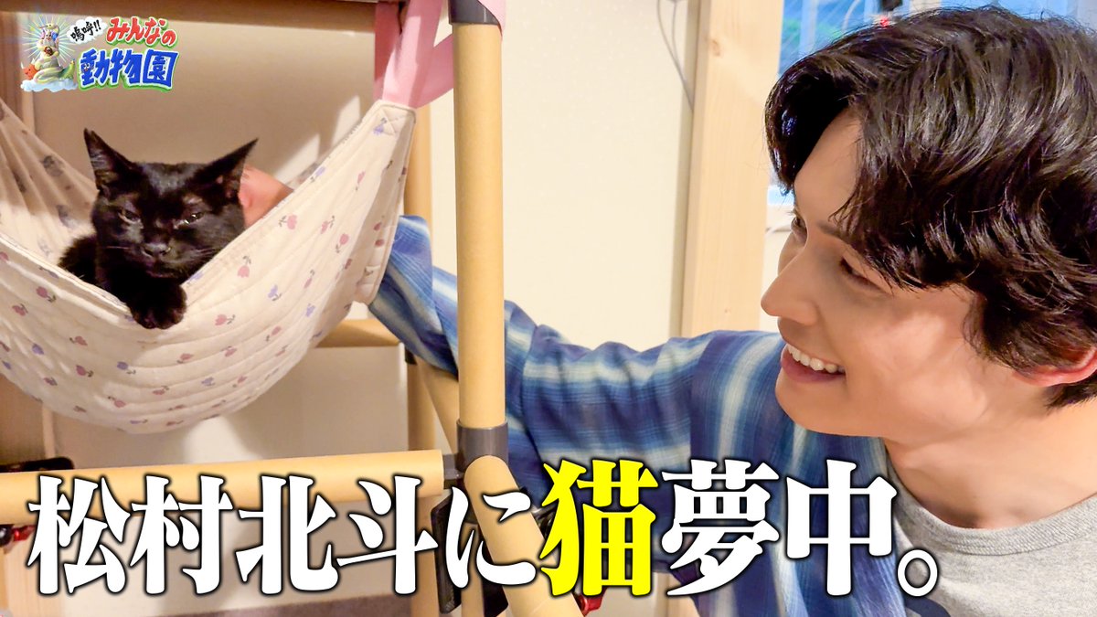 minnano_zoo_ntv's tweet photo. #嗚呼みんなの動物園
TVer配信スタート🙌

ダーリンハニー長嶋さんのお宅に
SixTONES松村北斗さんが🖤
「ヤキモチやかせ作戦」
「ライドオン松村作戦」など様々なテクを披露🏹

池崎さん家には氷川きよしさん🎤
「らぶ」ちゃんのため
超豪華！持ち歌リサイタルも🎶

ぜひご覧ください✨