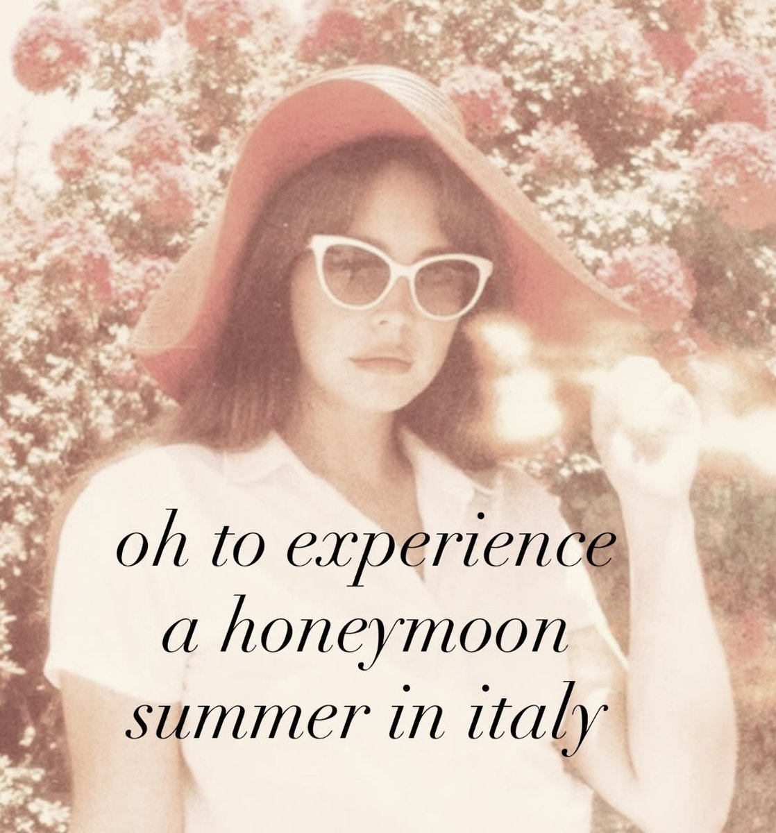 honeydupe's tweet photo. get your passports ready yall https://t.co/lf6KIaKHZi