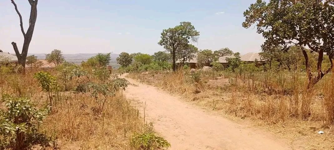 estate_crystal's tweet photo. Contact : 071 629 6535
HARARE, CROWHILL: US$15 000
2 stands, sizes ranges from 1 000sqm with gravel roads, Just after Crowhill Primary
school, Ready for Title.
REFID090424 https://t.co/Nap08mB9gg