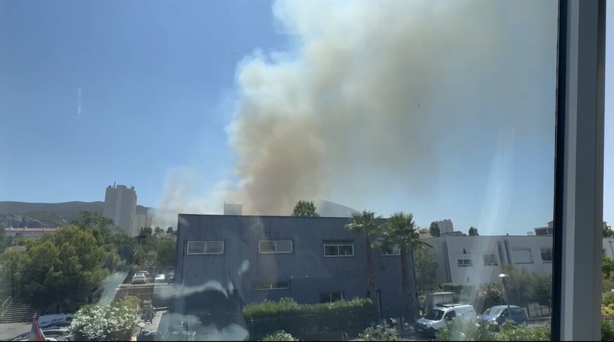 BFMMarseille's tweet photo. 🔴 EN DIRECT
Canicule et feux de forêt: six hectares brûlés dans l'incendie à Marseille, 90 marins-pompiers mobilisés
https://t.co/Waz990QevE https://t.co/Ij69nIWC1U
