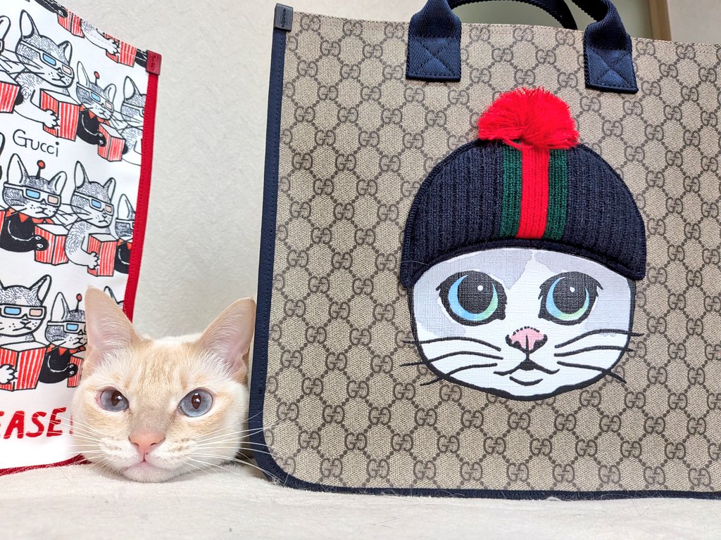 Yuko higuchi ヒグチユウコ (@nekonoboris) / Posts / X