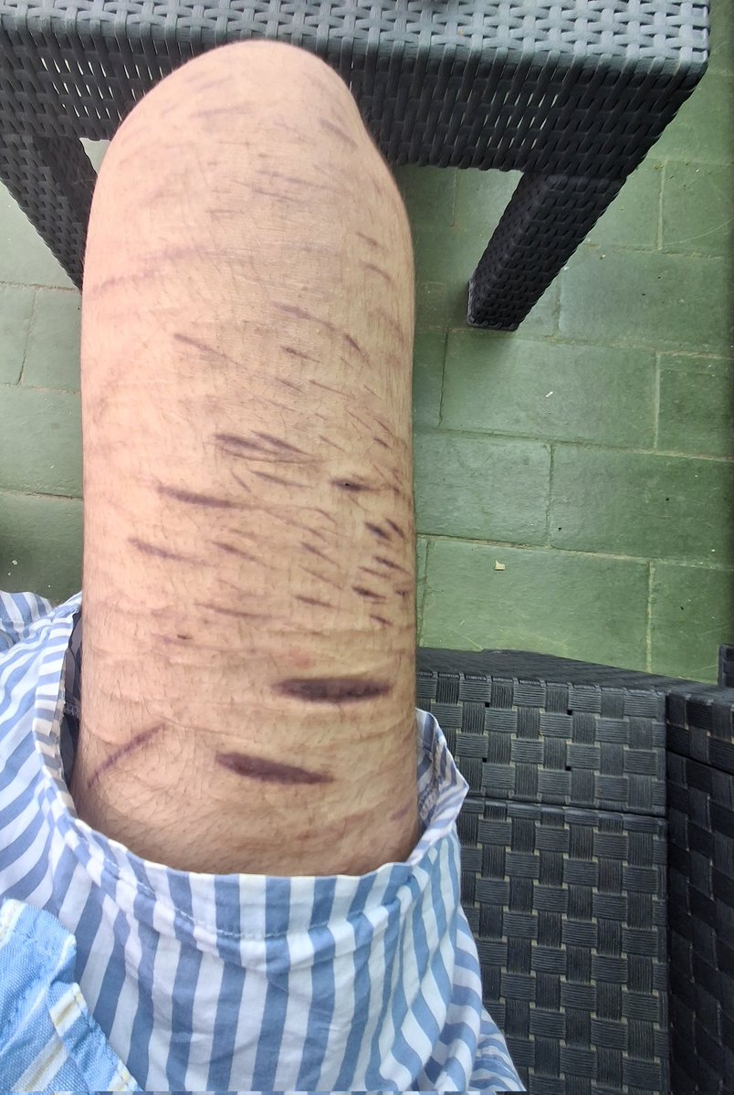 dimy 🦕 tweet media