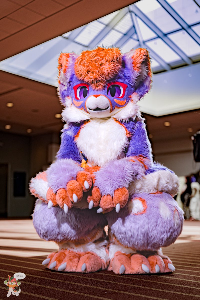 trixx_rx's tweet photo. would you say your suit is blurple colored @IItsSocks
#anthrocon #AC26 https://t.co/ovckAXMy3s