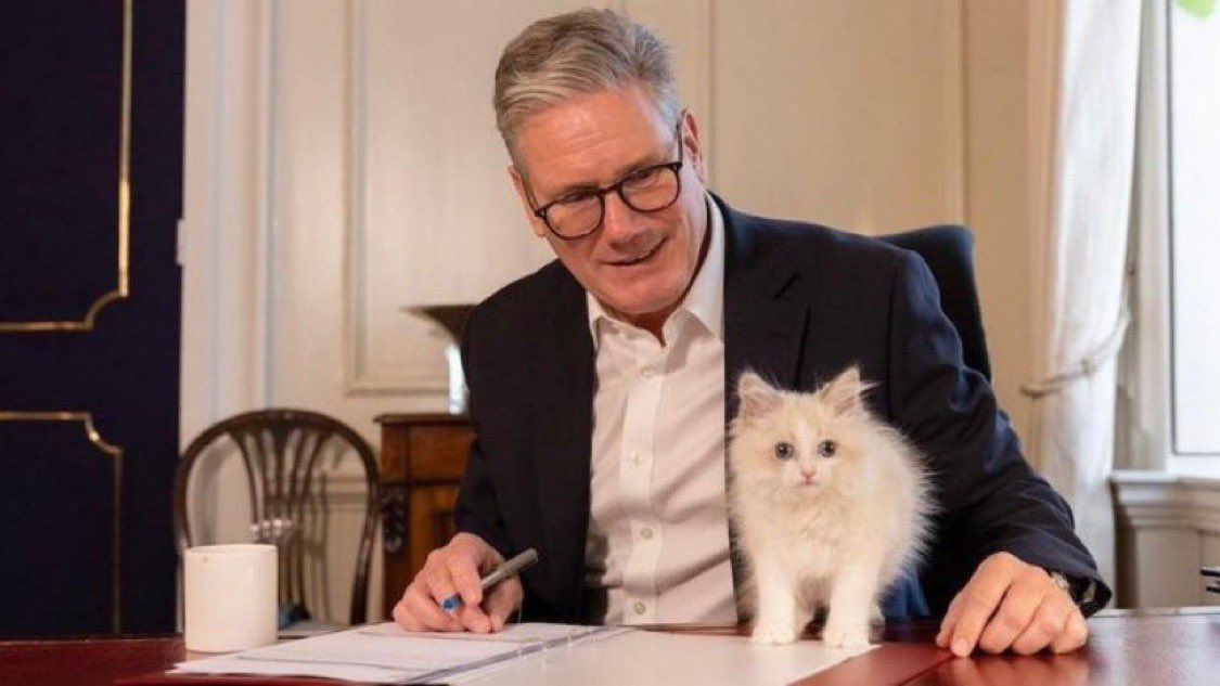 leftinista's tweet photo. keir starmer’s cat was the first ever victim of the weather machine. he didn’t know how it worked and accidentally pressed the lightning storm button. https://t.co/y6kfXWU9dh