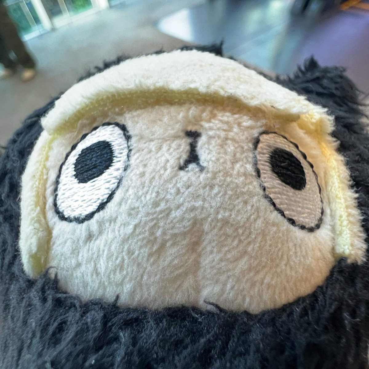 fv84m's tweet photo. おふざけ https://t.co/5dMcGs9xqO