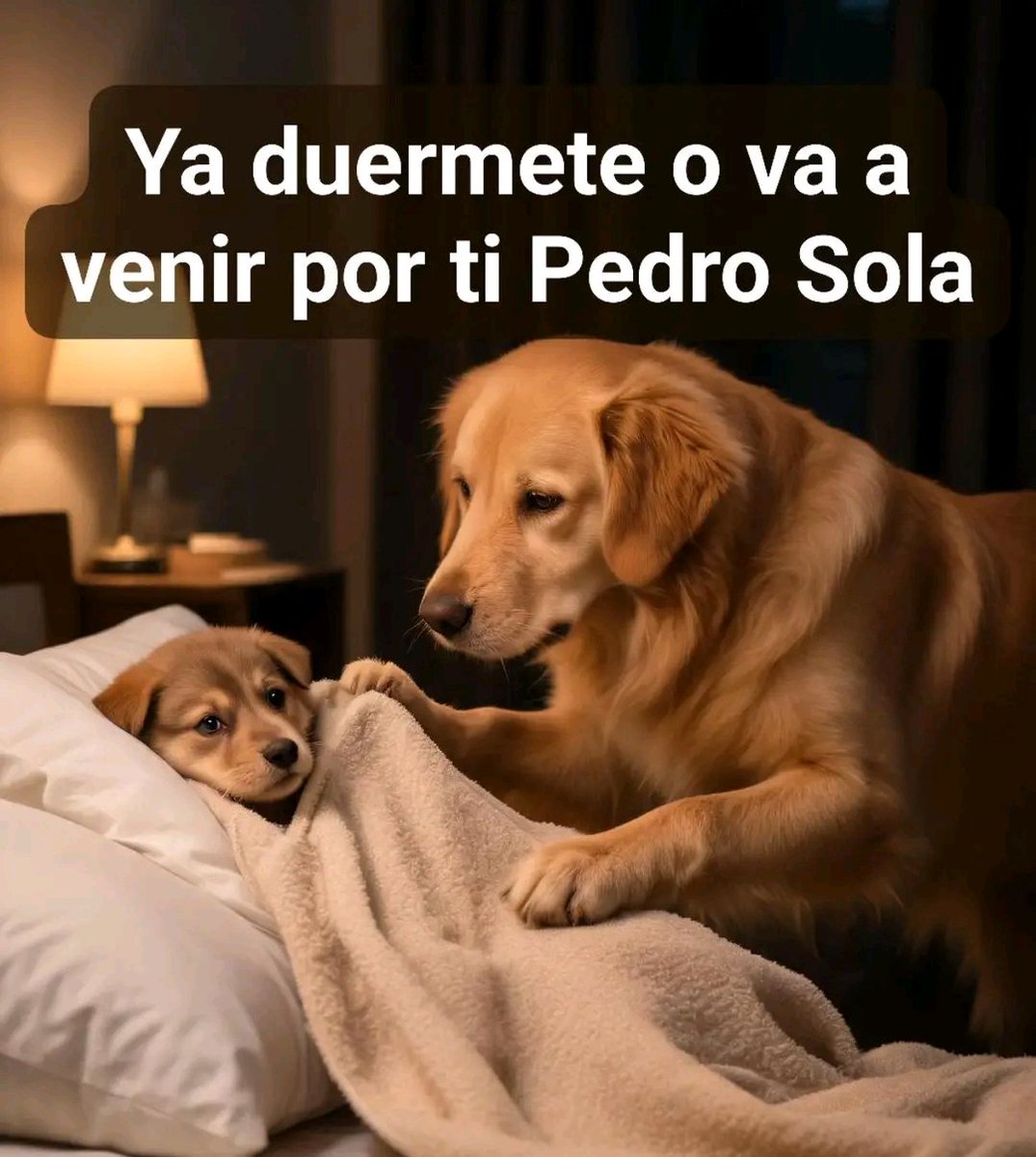 Azote de los Fifis tweet media